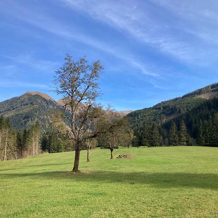 Schaffergut Appartements Donnersbachwald Bagian luar foto
