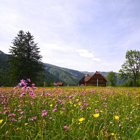Schaffergut Appartements Donnersbachwald Bagian luar foto