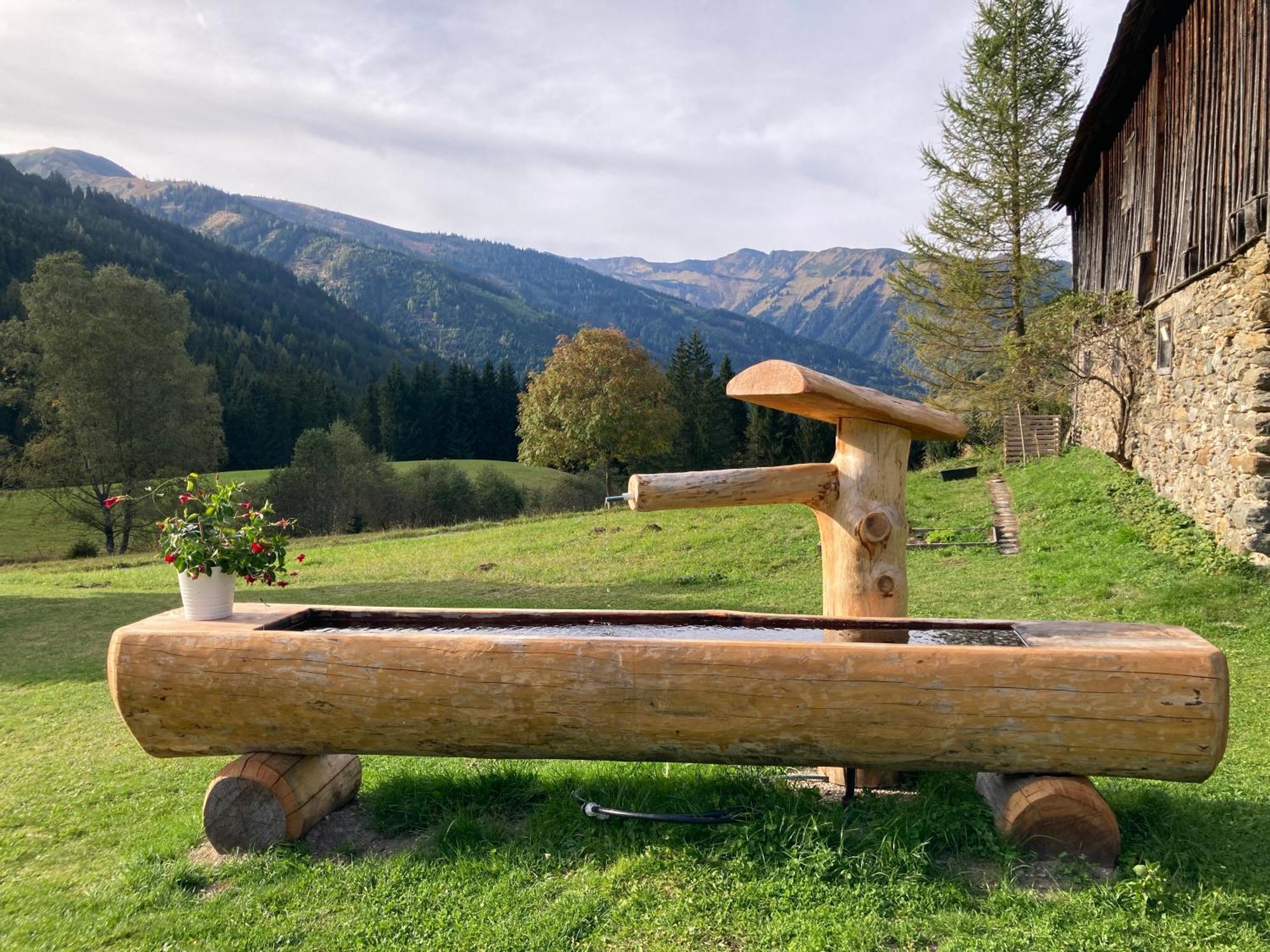 Schaffergut Appartements Donnersbachwald Bagian luar foto