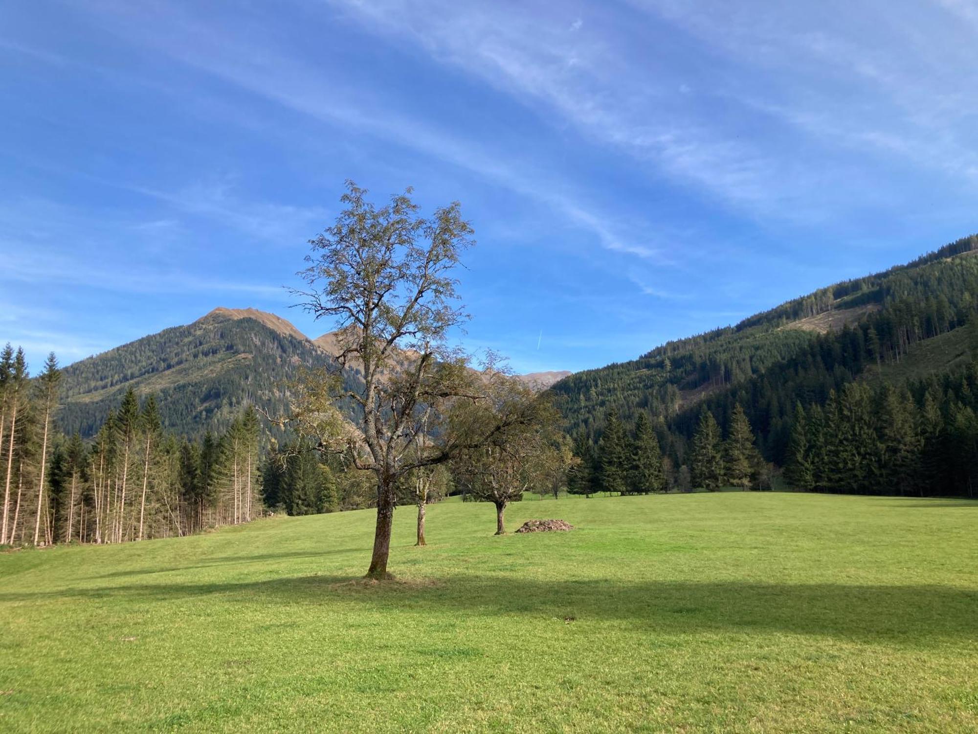Schaffergut Appartements Donnersbachwald Bagian luar foto