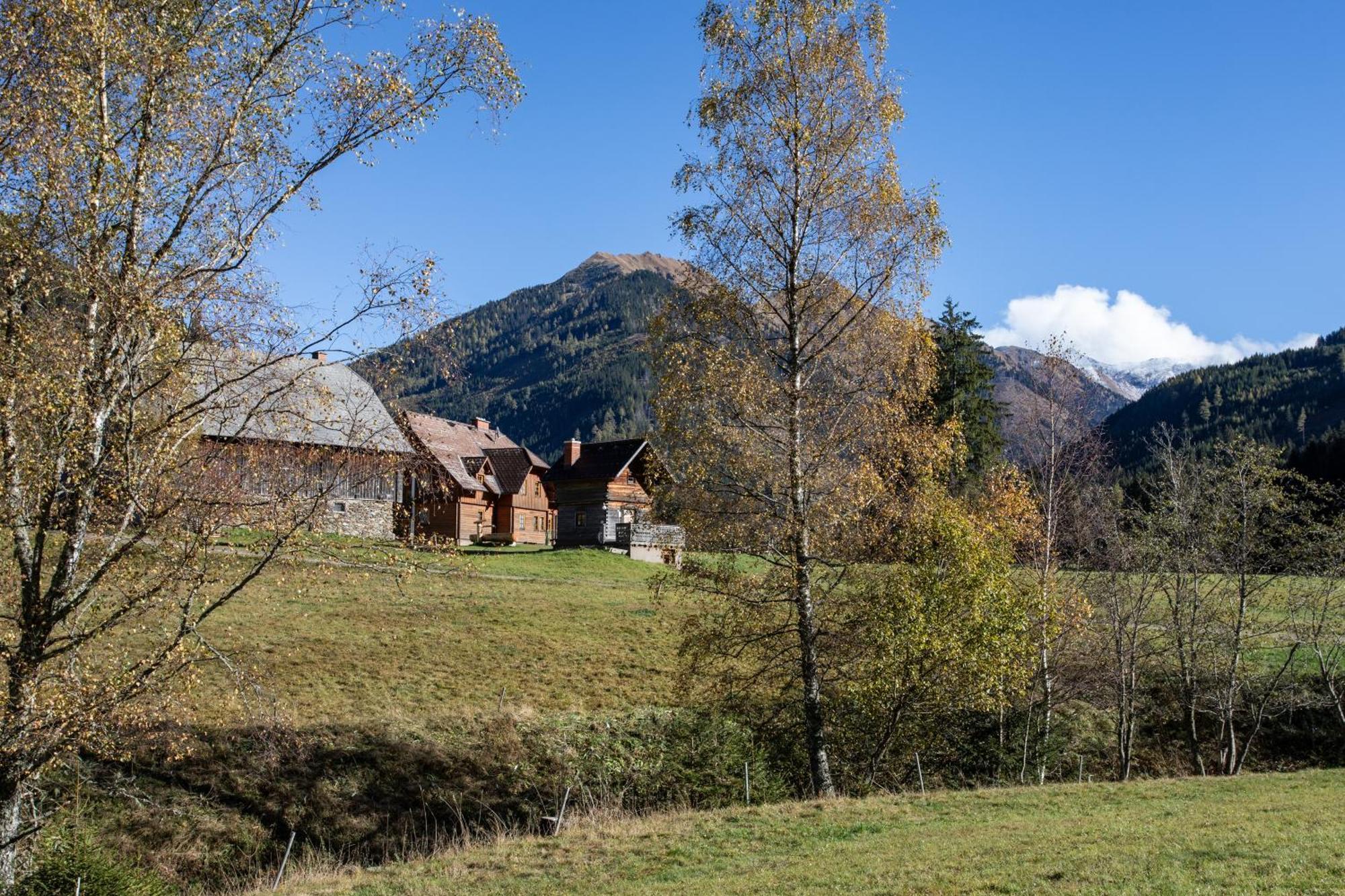 Schaffergut Appartements Donnersbachwald Bagian luar foto