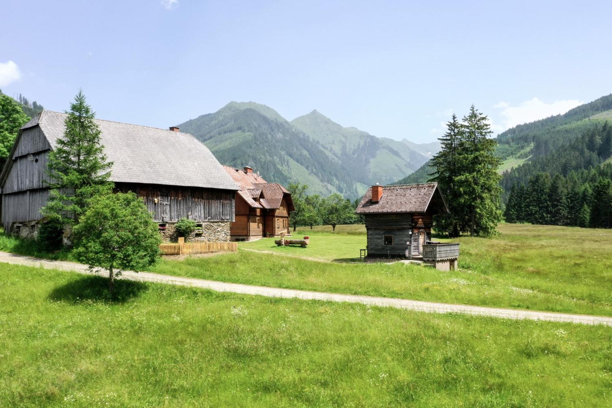 Schaffergut Appartements Donnersbachwald Bagian luar foto