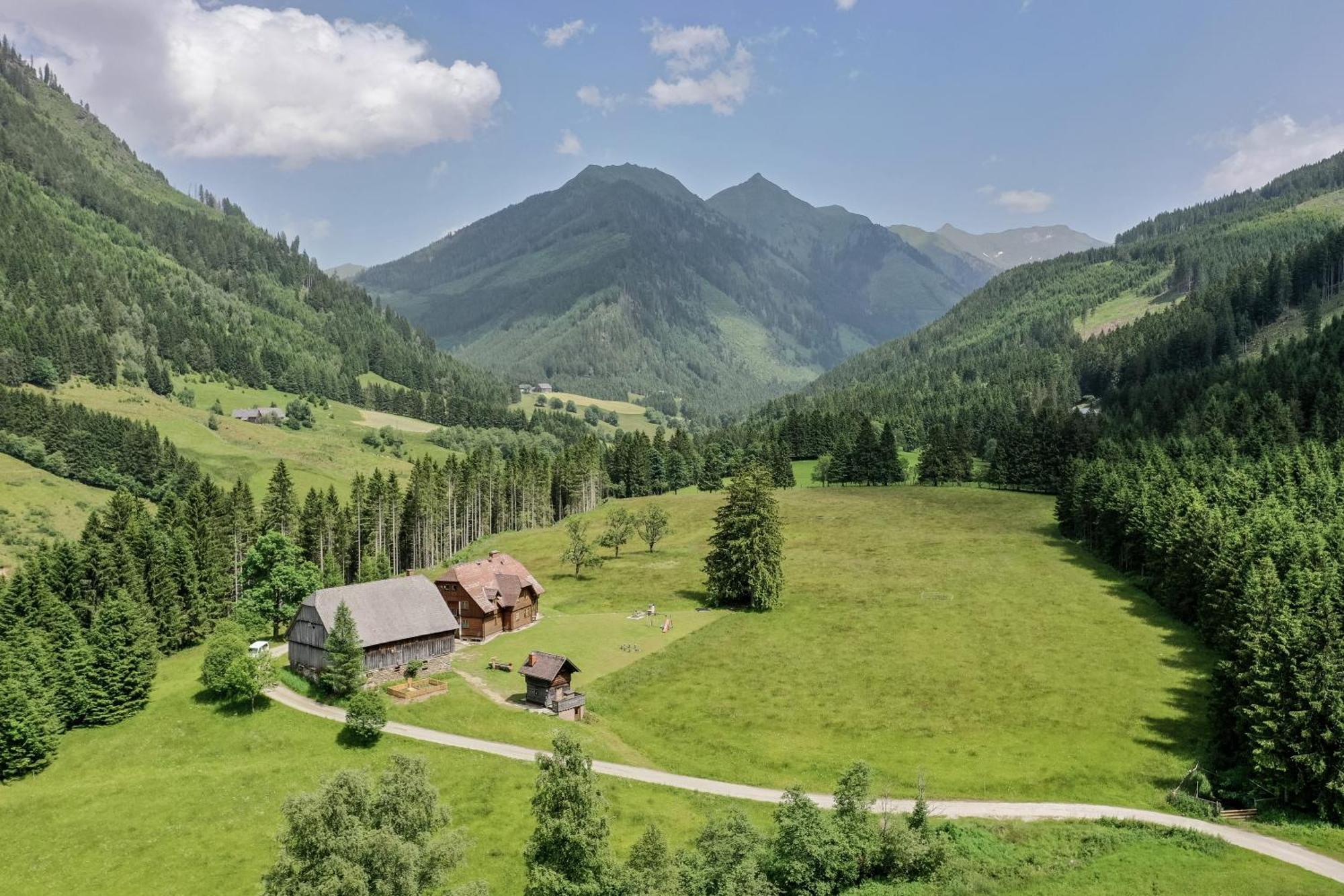 Schaffergut Appartements Donnersbachwald Bagian luar foto