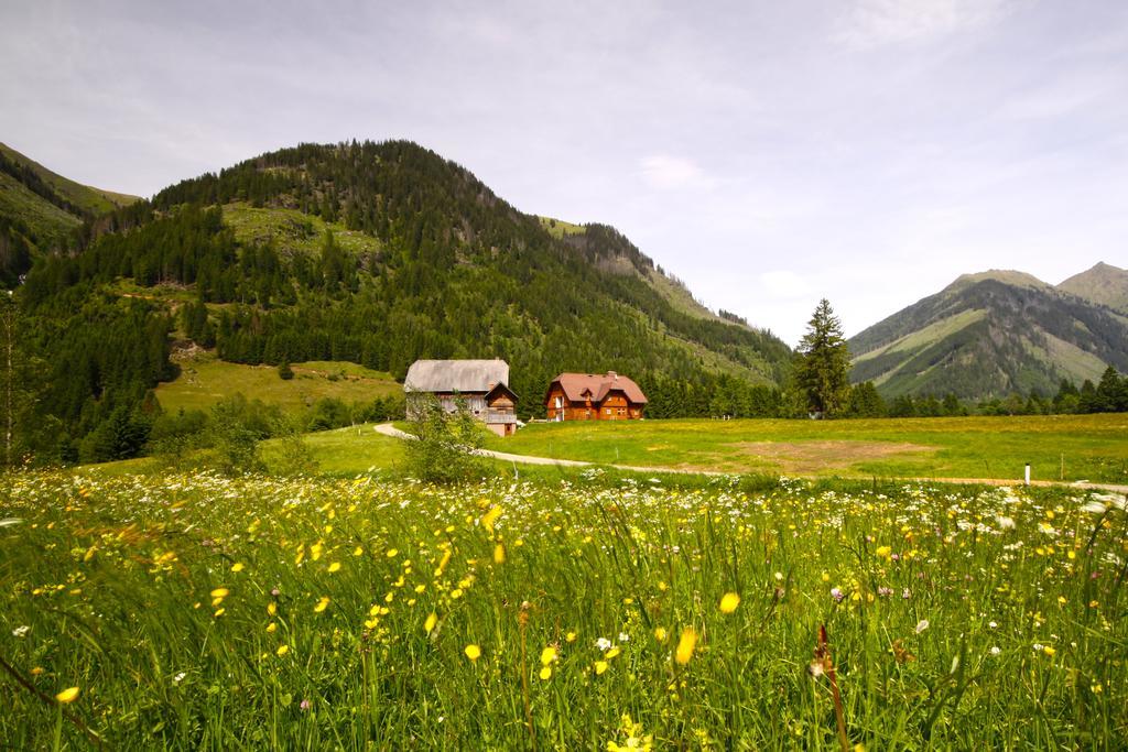 Schaffergut Appartements Donnersbachwald Bagian luar foto
